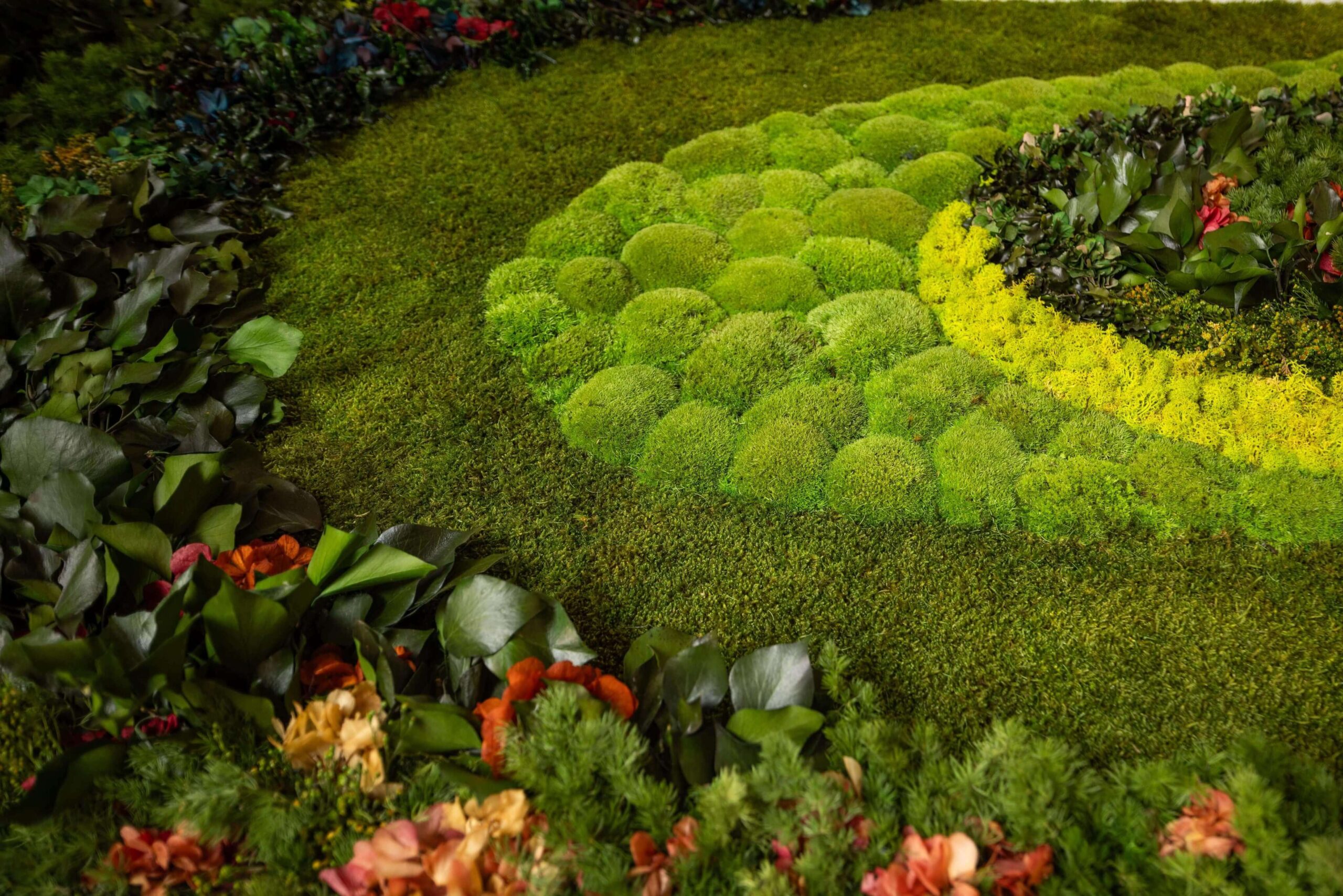 Start Your Journey With Alpas Wellness